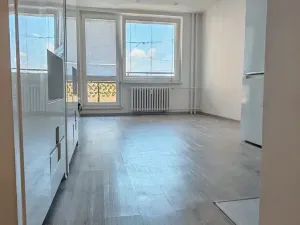 Pronájem bytu 1+kk, Ostrava, Francouzská, 27 m2