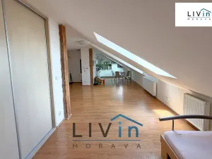Pronájem bytu 1+kk, Olomouc, Krakovská, 80 m2