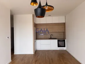 Pronájem bytu 2+kk, Dubňany, Hornická, 36 m2