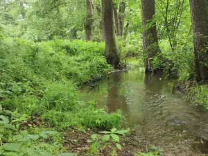 Prodej rodinného domu, Hroubovice, 150 m2
