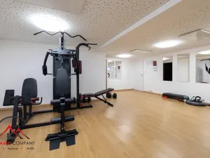 Pronájem bytu 1+kk, Ostrava, Cihelní, 38 m2