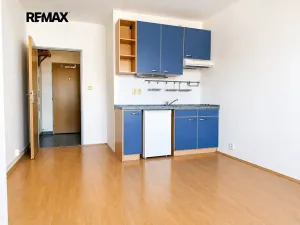 Pronájem bytu 1+kk, Brno, třída Generála Píky, 22 m2