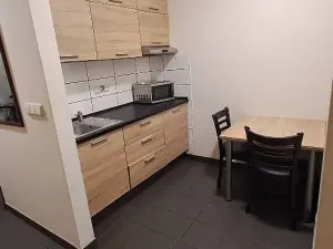 Pronájem bytu 1+kk, Hranice - Hranice I-Město, Potštátská, 40 m2