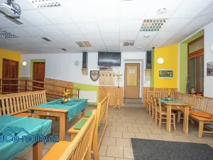Prodej komerční nemovitosti, Slatina nad Zdobnicí, 572 m2