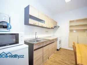 Prodej komerční nemovitosti, Slatina nad Zdobnicí, 572 m2