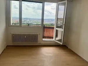 Pronájem bytu 1+1, Brno, Ježkova, 40 m2