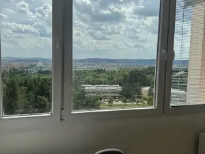 Pronájem bytu 1+1, Brno, Ježkova, 40 m2