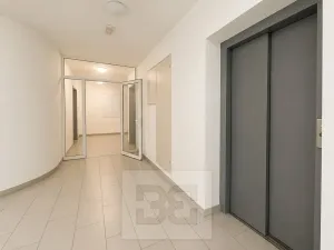 Prodej bytu 2+kk, Ostrava, Sadová, 97 m2