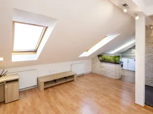 Pronájem bytu 2+kk, Opava, Mánesova, 48 m2