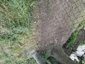 Dražba rodinného domu, Velký Chlumec, 385 m2