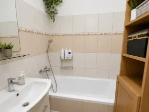 Pronájem bytu 2+1, Kladno - Kročehlavy, Litevská, 57 m2