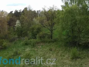 Prodej pole, Křenov, 16180 m2