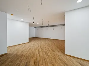Pronájem restaurace, Praha - Žižkov, Olšanská, 352 m2