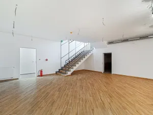 Pronájem restaurace, Praha - Žižkov, Olšanská, 352 m2