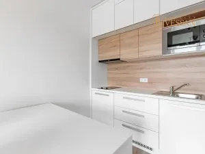 Prodej bytu 1+kk, Praha - Vršovice, Petrohradská, 30 m2