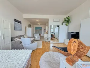 Pronájem bytu 1+kk, Praha - Staré Město, Národní, 67 m2