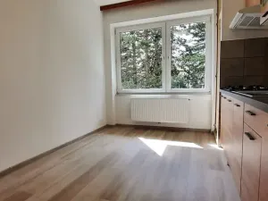 Pronájem bytu 4+1, Brno, Bohuslava Martinů, 95 m2