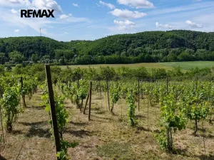 Prodej sadu/vinice, Moravské Bránice, 2403 m2