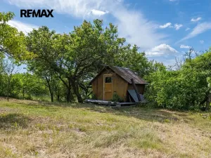 Prodej sadu/vinice, Moravské Bránice, 2403 m2