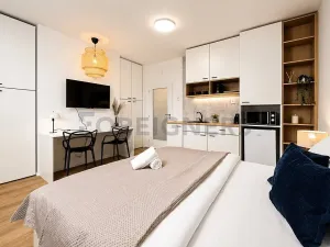Pronájem bytu 1+kk, Brno, Cejl, 38 m2