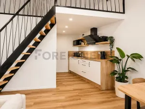 Pronájem bytu 1+kk, Brno, Vlhká, 46 m2