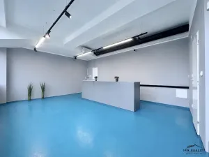 Pronájem kanceláře, Pardubice, Bělehradská, 35 m2