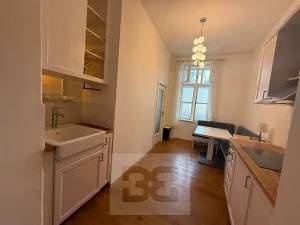 Pronájem bytu 1+1, Praha - Nové Město, Petrská, 37 m2
