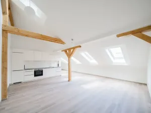 Pronájem bytu 3+kk, Praha - Nové Město, Václavské náměstí, 92 m2