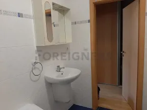 Pronájem bytu 1+kk, Pardubice, Labský Palouk, 35 m2