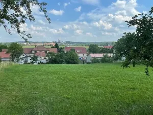 Prodej louky, Luže, 11020 m2