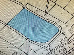 Prodej louky, Luže, 11020 m2