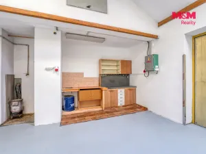 Pronájem garáže, Rokycany - Nové Město, Dělostřelců, 46 m2