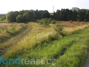 Prodej pozemku, Pustějov, 9886 m2