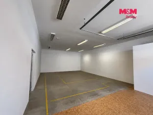 Pronájem skladu, České Budějovice, České Vrbné, 210 m2
