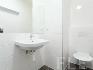 Pronájem bytu 1+kk, Praha - Jinonice, Peroutkova, 23 m2