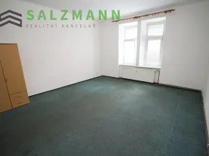 Pronájem bytu 2+kk, Plzeň, Úslavská, 45 m2