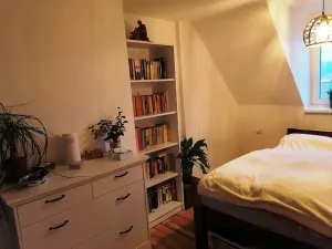 Prodej bytu 3+1, Ústí nad Labem, Ve Smyčce, 65 m2