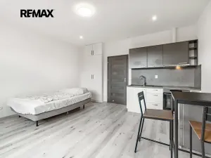 Pronájem bytu 1+kk, Praha - Břevnov, Patočkova, 25 m2