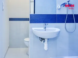 Prodej bytu 1+kk, Plzeň - Severní Předměstí, Brněnská, 31 m2