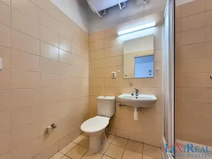 Pronájem bytu 1+1, Praha - Nusle, Bělehradská, 28 m2