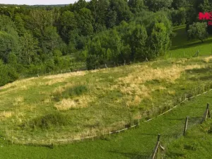 Prodej pozemku pro bydlení, Javornice, 4450 m2