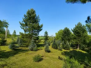 Prodej pozemku pro bydlení, Popůvky, 971 m2