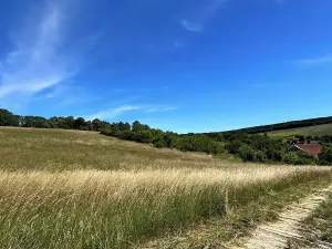 Prodej pozemku pro bydlení, Nesovice, 4059 m2