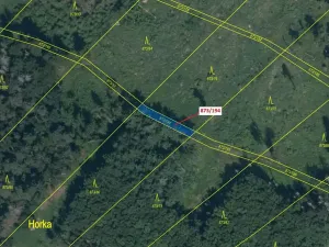 Dražba lesa, Kladruby, 132 m2