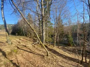 Dražba pozemku, Železná Ruda, 1644 m2