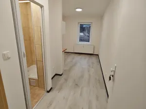 Pronájem bytu 1+kk, Praha - Hlubočepy, Na Zlíchově, 18 m2