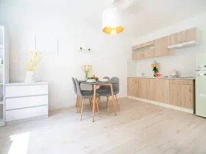 Prodej bytu 2+kk, Jeseník, Na Mýtince, 58 m2