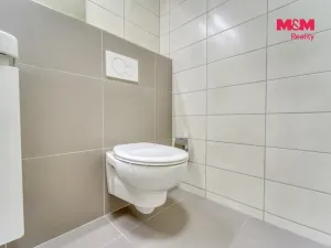 Pronájem bytu 2+kk, Plzeň - Jižní Předměstí, Karlova, 52 m2