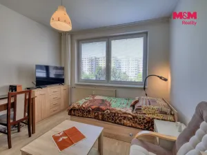Prodej bytu 1+1, Písek - Pražské Předměstí, Jablonského, 41 m2