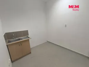 Pronájem obchodního prostoru, Ústí nad Labem - Ústí nad Labem-centrum, Hoření, 140 m2